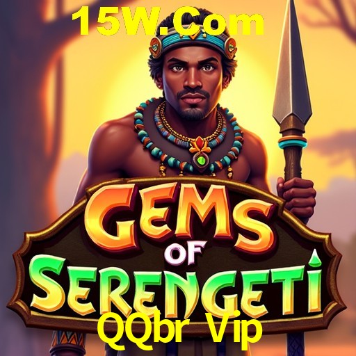 Security Systems QQbr Vip